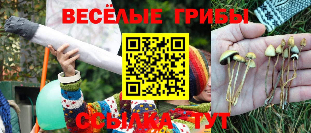 Галлюциногенные грибы Psilocybine cubensis Краснотурьинск