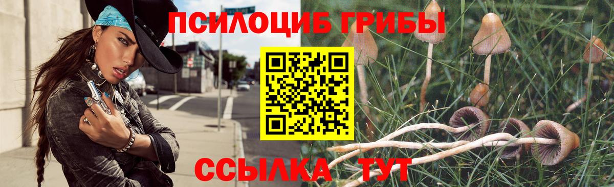 Краснотурьинск  Галлюциногенные грибы GOLDEN TEACHER  Вход с VPN 